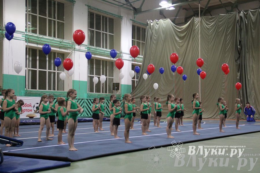 «Парад гимнастики» прошел в Великих Луках (фото)