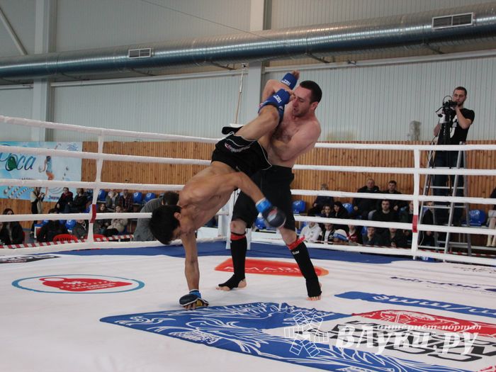 Открытый кубок по смешанному боевому единоборству ММА прошел в Великих Луках (ФОТО)