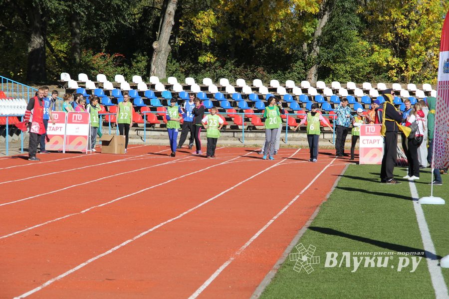 В Великих Луках прошел фестиваль ГТО
