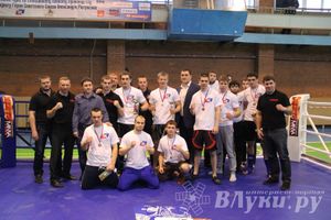 В Великих Луках прошел межрегиональный Открытый Кубок по смешанному боевому единоборству (фото)