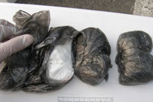 Двое жителей Псковской области задержаны за сбыт наркотиков (фото)