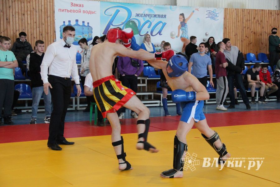 Фестиваль боевых искусств прошел в Великих Луках (ФОТО)