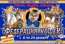 В Великих Луках пройдет контактная зоовыставка — время гладить котиков! (ФОТО) (6+)