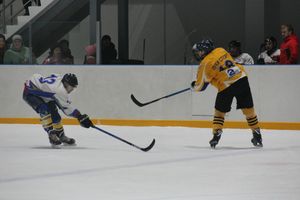 Определилась команда, которая будет представлять город на Кубке области по хоккею (ФОТО)