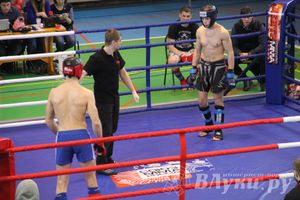 В Великих Луках прошел межрегиональный Открытый Кубок по смешанному боевому единоборству (фото)