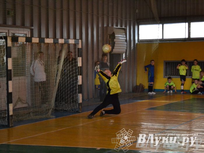 XII Традиционный Международный открытый турнир по мини-футболу среди юношей 2001-2002 г. р.