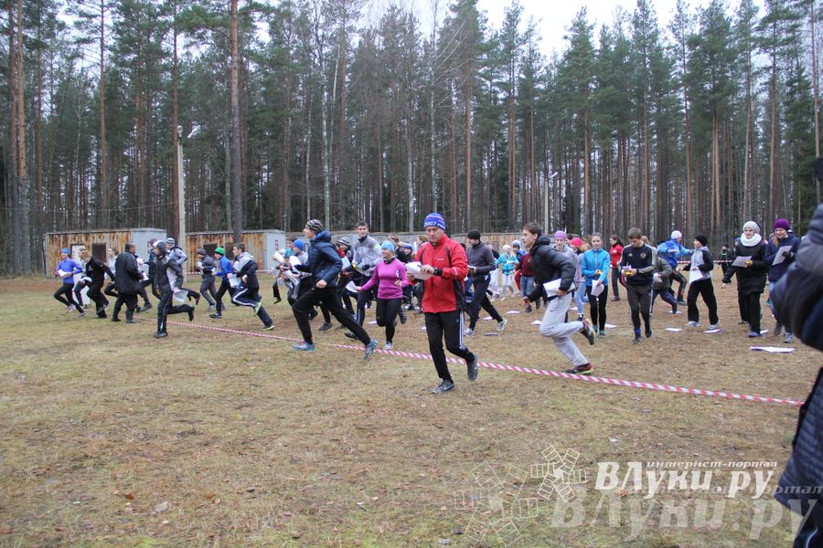 «Великолукский Марафон-2014» прошел в Сенчитском бору (фото)