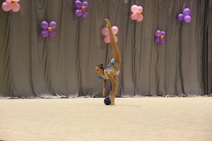 В Великих Луках завершился первый день соревнований Открытого Первенства города по художественной гимнастике (ФОТО) (0+))