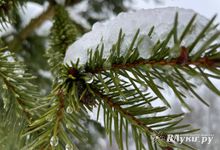 Прогноз погоды на 10 января в Великих Луках