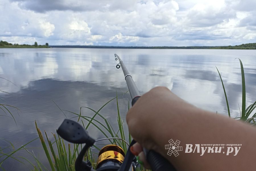 © ВЛуки.ру/ Ирина Ловчая