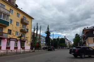 Великолукские тополя: пуха не будет (ФОТО)