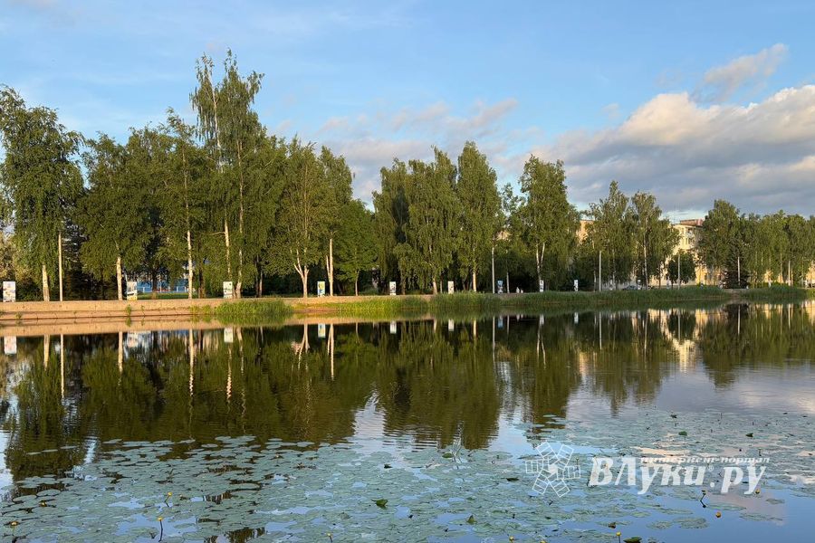ВЛуки.ру