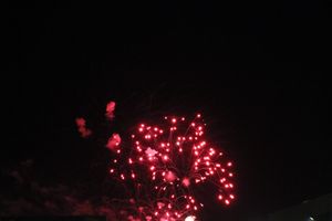 ​Праздничным концертом и салютом завершились празднования Дня Победы в Великих Луках (фото)