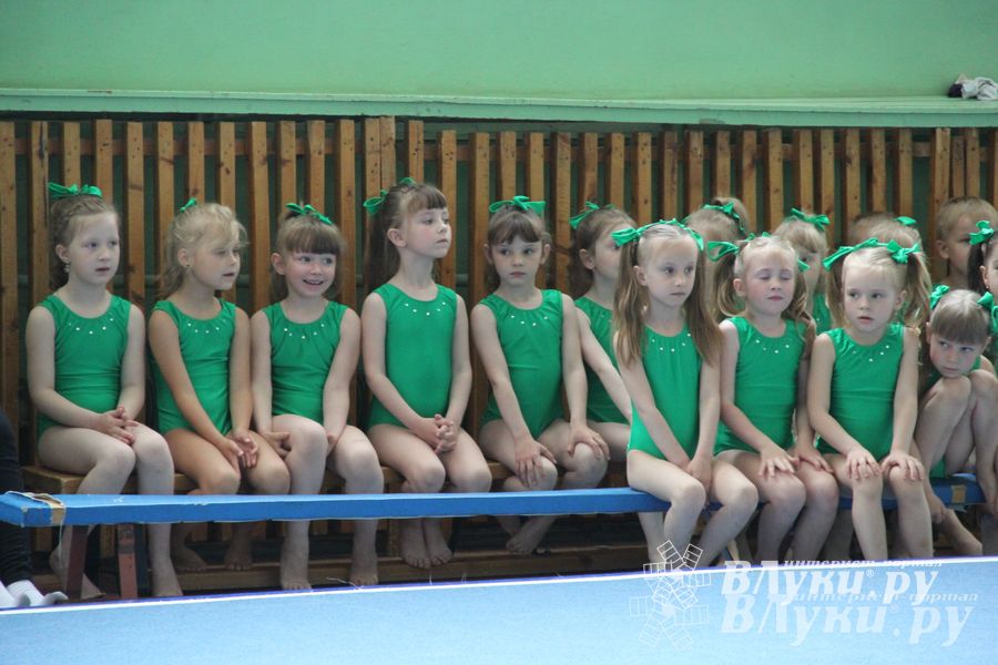 В Великих Луках состоялось Первенство по командной гимнастике (фото)