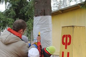 «Великолукский Марафон-2014» прошел в Сенчитском бору (фото)