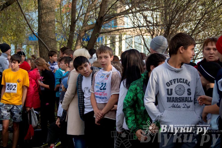 В Великих Луках прошел «Осенний кросс» 