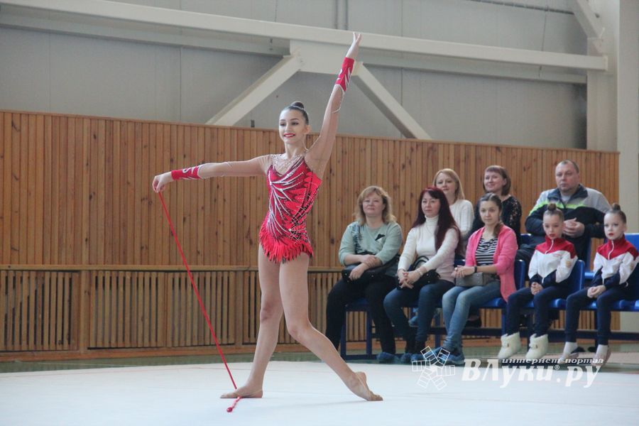 В Великих Луках прошли соревнования по по художественной гимнастике (ФОТО)