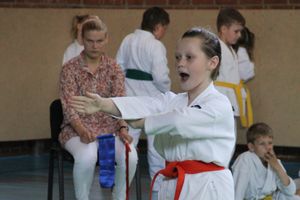 Турнир по каратэ