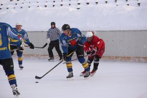 Великолукский хоккей: много забитых шайб и немного потасовок и разбитых лиц (фото)