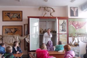 В Великих Луках прошел эколого-биологический час «Путешествие к домашним животным» (фото)