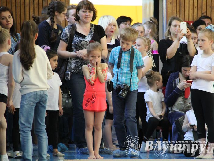 В Великих Луках прошло Первенство по художественной гимнастике (фото)