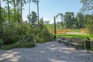 Небезразличные великолучане помогают убрать город после урагана (ФОТО)