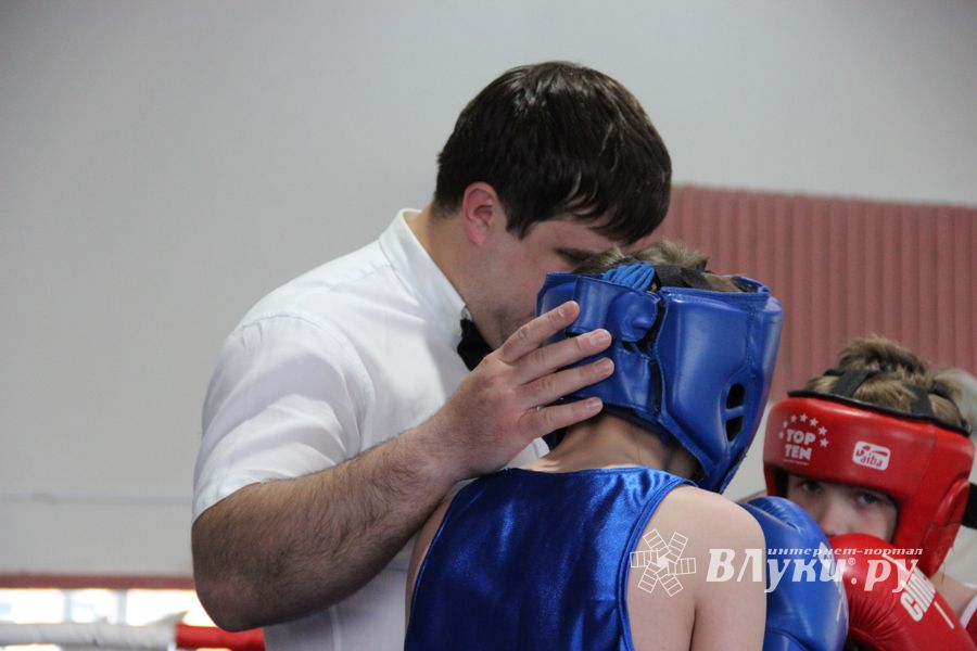 Юные великолучане выявили сильнейших боксёров (ФОТО)