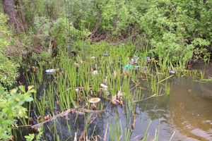 «Партия Дела» делает дело