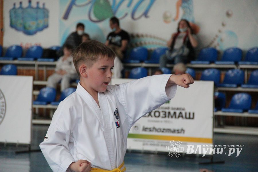 В Великих Луках состоялся Чемпионат и первенство Псковской области по тхэквондо МФТ (ФОТО)