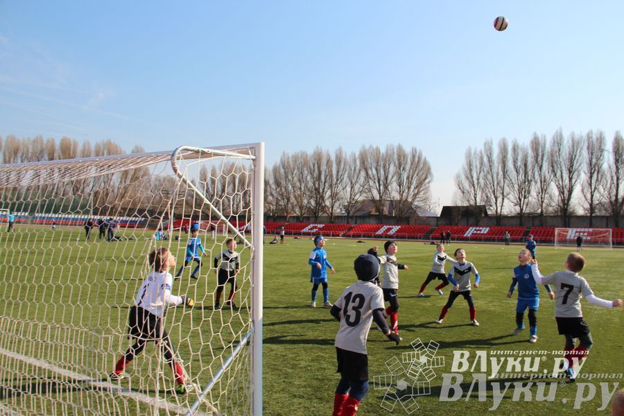 В Великих Луках прошел международный детский турнир по футболу «Наши надежды»