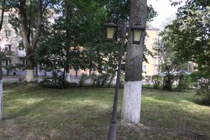 Парк Пушкина: «... А вкруг меня глухое запустенье...» (ФОТО)