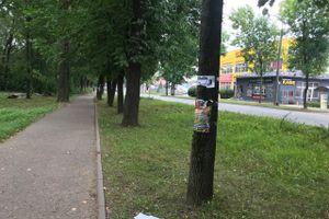 «Прибинтовали» скотчем (ФОТО)