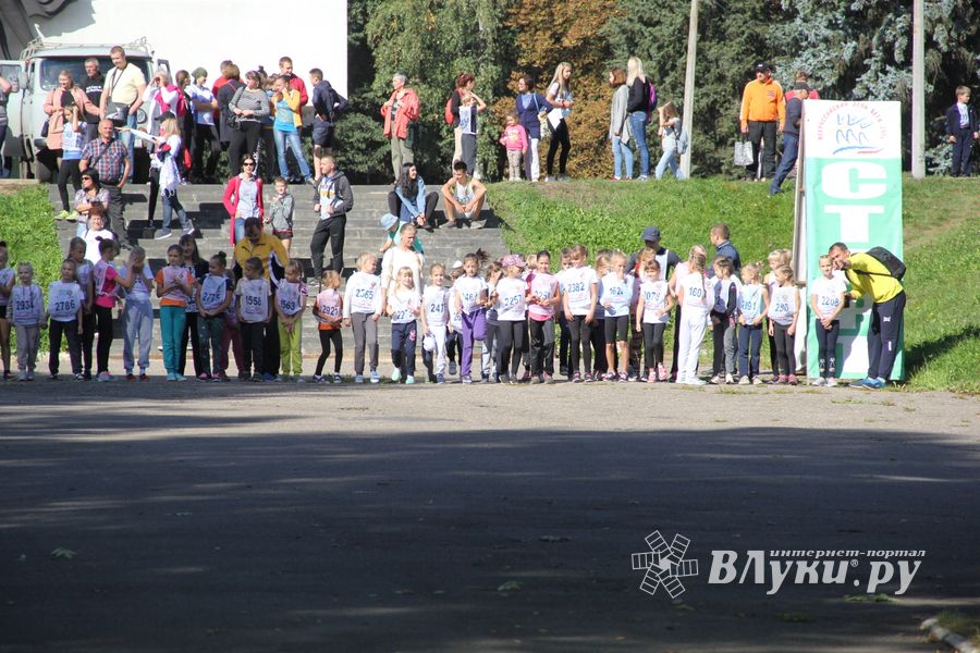 В Великих Луках прошёл «Кросс Нации-2018» (ФОТО)