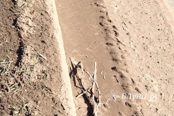 Снег ушел, пыль и грязь вернулись (фото)