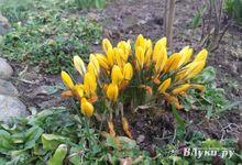 Прогноз погоды в Великих Луках на 2 мая