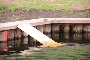 В Комендантском пруду установили сходни для лягушек (ФОТО)