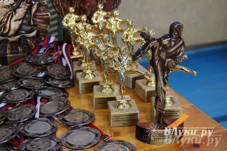 В Великих Луках прошло Первенство по тхэквондо (фото)