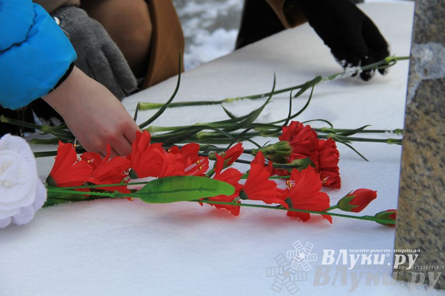 В Великих Луках почтили память академика Виноградова