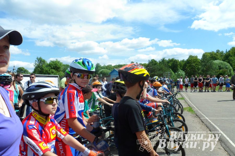 В Великих Луках прошел Всероссийский олимпийский день (фото)