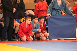 Великолукские самбисты завоевали 45 медалей на открытом первенстве города (ФОТО)