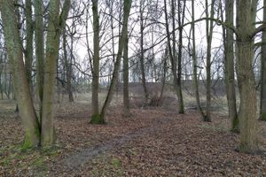 В Великих Луках приступили к строительству парка «Петровский» (ФОТО)