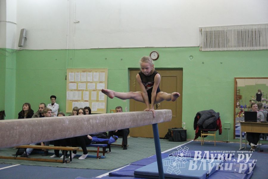 В Великих Луках состоялось Первенство города по спортивной гимнастике (фото)