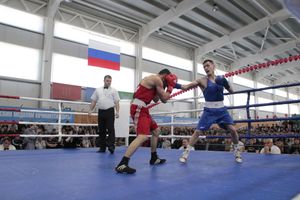 Матчевая встреча по боксу Великие Луки —Псков — Грозный (ФОТО)
