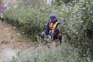 Октябрь: в Великих Луках продолжается покос (ФОТО)