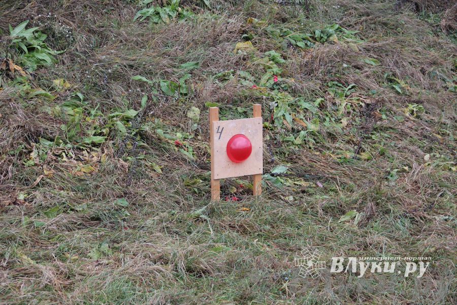 «Кубок первокурсника 2013»