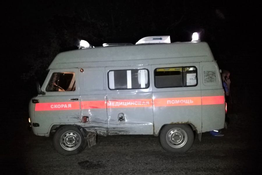 В Великолукском районе лось спровоцировал ДТП (ФОТО)