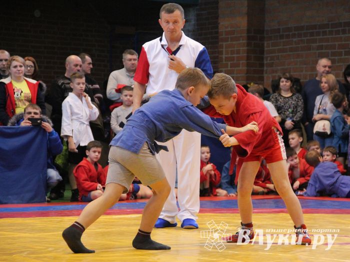 Открытый турнир по самбо «Новогодняя звезда-2019» прошел в Великих Луках (ФОТО)