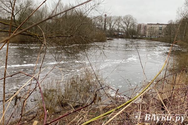 С начала года на водоемах Псковской области погибло 24 человека