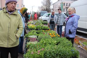 В Великих Луках прошла универсальная ярмарка «Весна-2019» (ФОТО)
