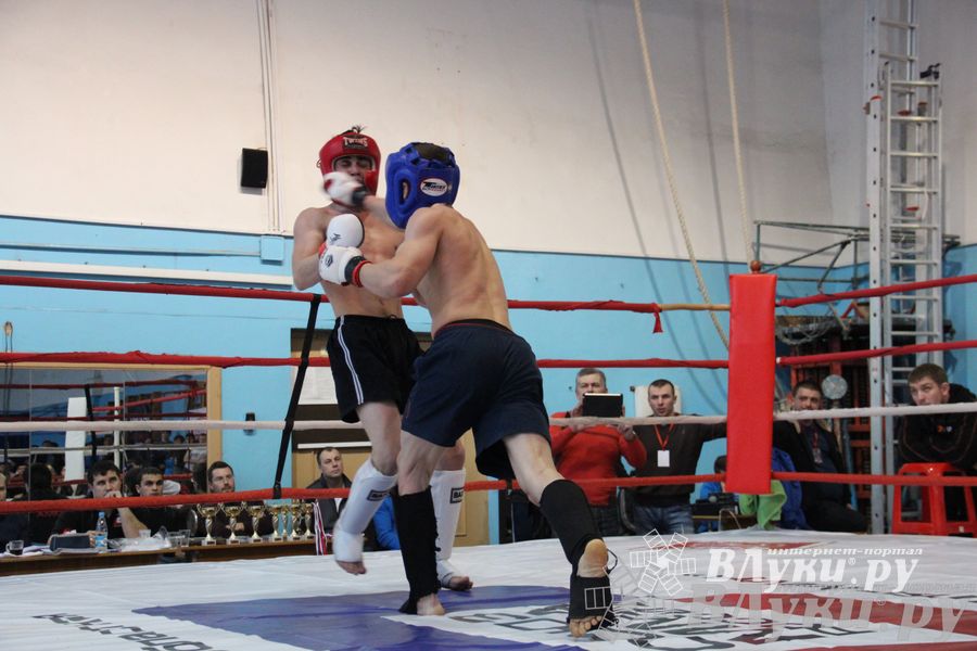 Открытый Кубок города Великие Луки по смешанному боевому единоборству (ММА)